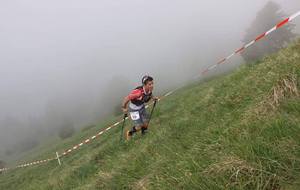UTM ultra tour du mole